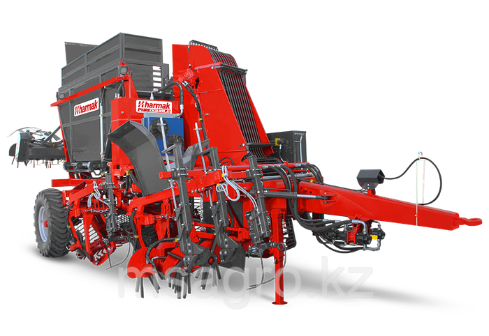 Юбка астындағы ақ трусики, порно фото, жарқыл