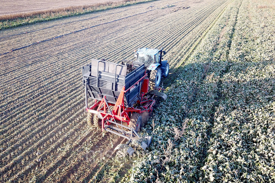 Араб секс ұлы мен анасы