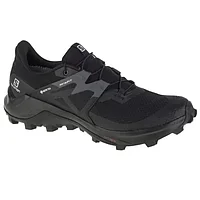 Salomon Wildcross 2 GTX M 414554 running shoes