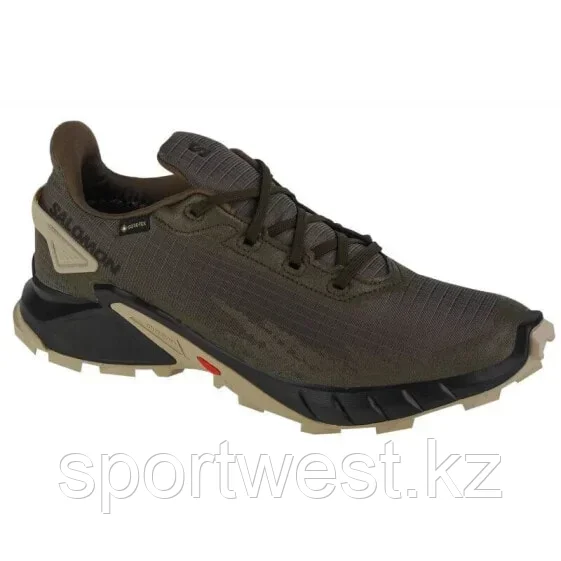 Salomon Alphacross 4 GTX M 471169 running shoes - фото 1 - id-p116156768