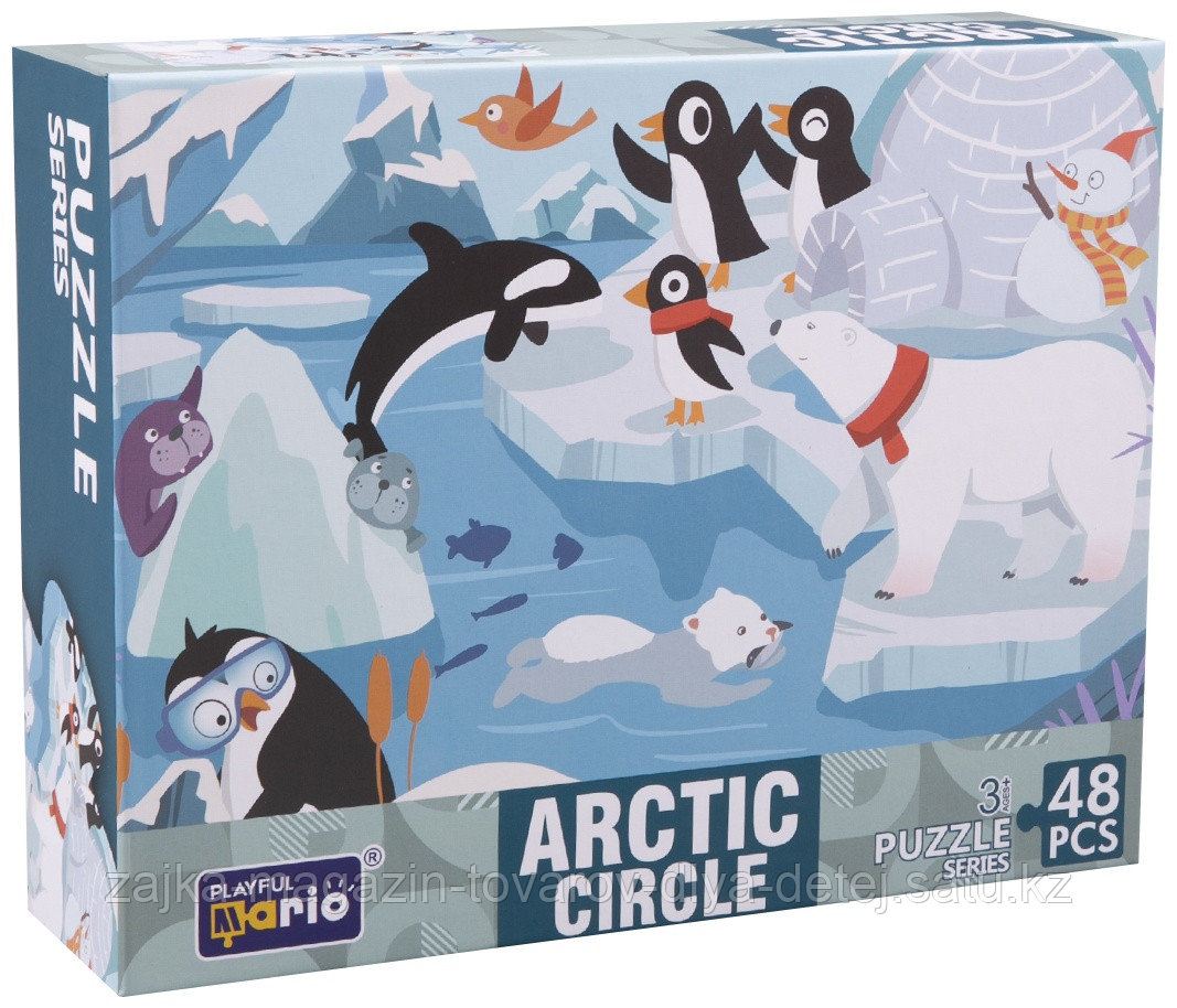 Пазл Puzzles Арктический кружок