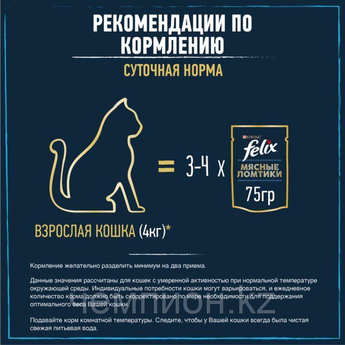 Felix, Феликс Мясные Ломтики с уткой в соусе для кошек, уп.26*75гр. - фото 5 - id-p93773489