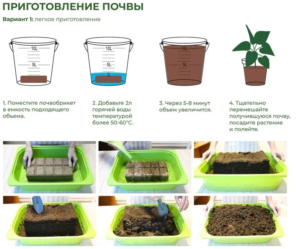 Секс-туристік порно фильмдер