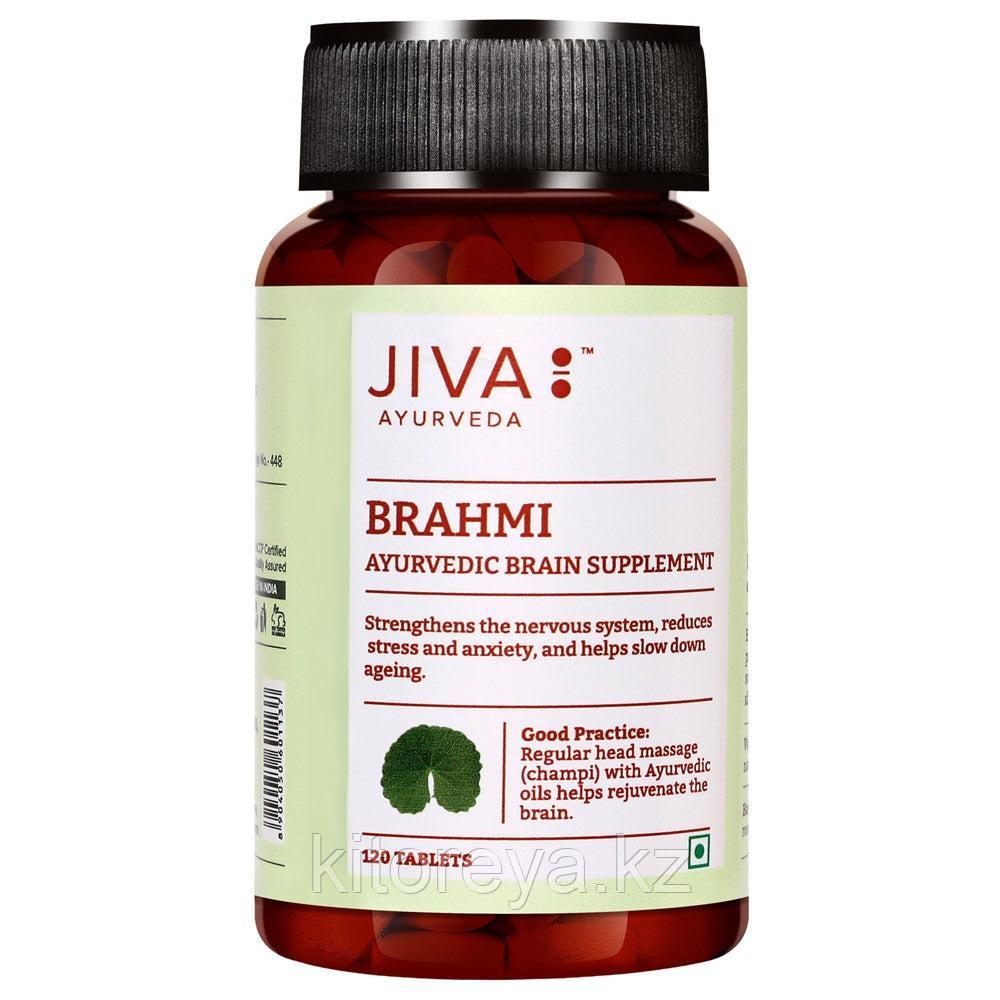 Брахми ( Brahmi Jiva ) для мозга и укрепление памяти 120 таб