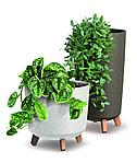 Горшок на деревянных ножках Gracia Beton Effect DGRL300W | Prosperplast, фото 3