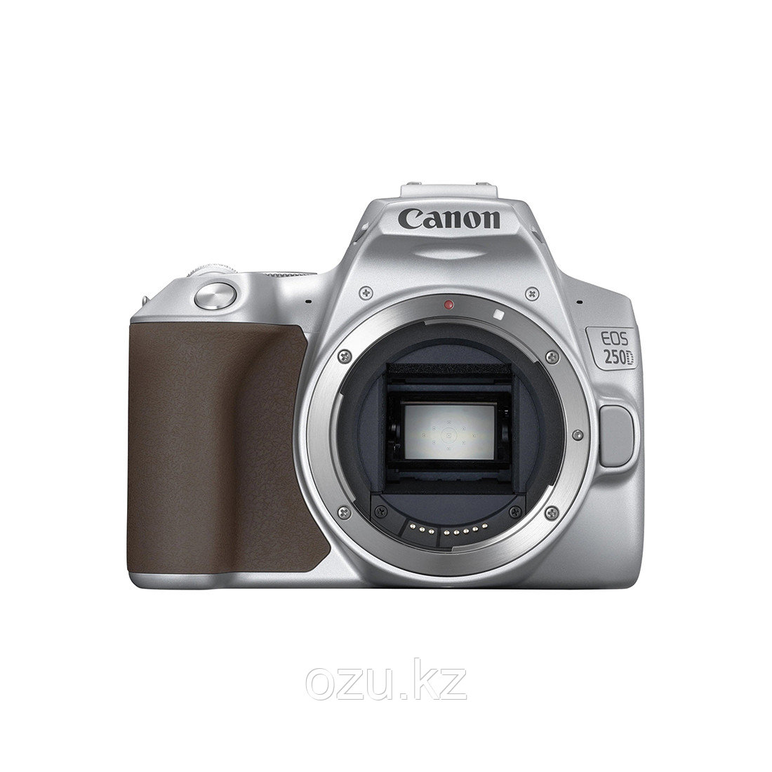 Цифровой зеркальный фотоаппарат CANON EOS 250D EF-S 18-55 mm IS STM Silver