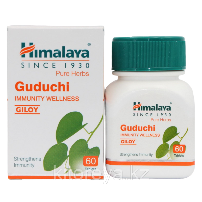Гудучи Хималая (Guduchi Himalaya) иммуномодулирующее, антивирусное средство 60 таблеток - фото 1 - id-p116180383