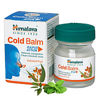 Колд Бальм Хималая ( Cold Balm Himalaya ) бальзам от простуды, насморка 10 гр