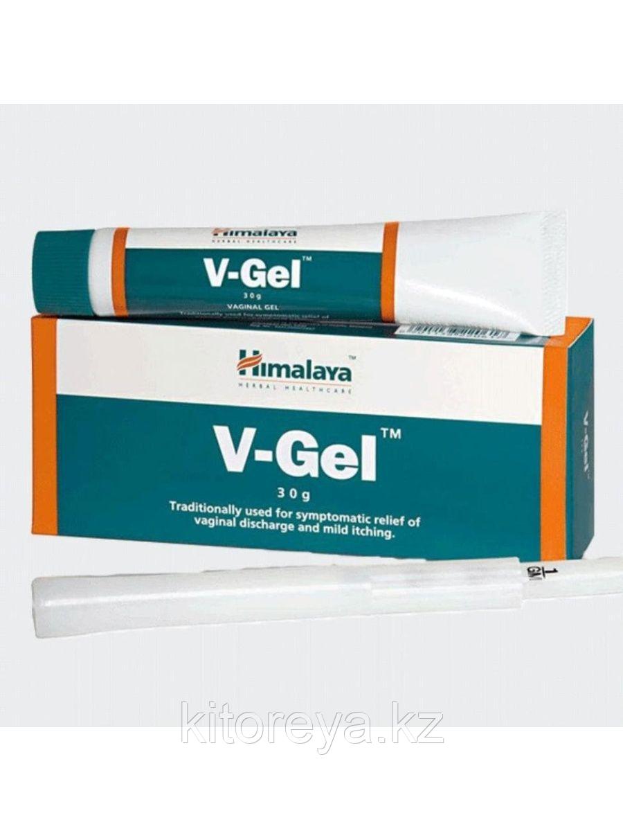 Ви-Гель Хималая ( V-Gel Himalaya ) женские интимные заболевания 30 гр - фото 1 - id-p116181039