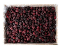 Замороженная ежевика (1кг)