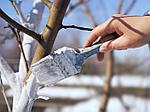 Побелка Cеребряная биомаска для деревьев Робин Грин, 3,5кг | Фаско, фото 2