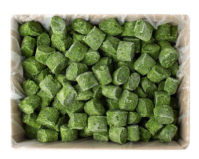 Дельфин және секс