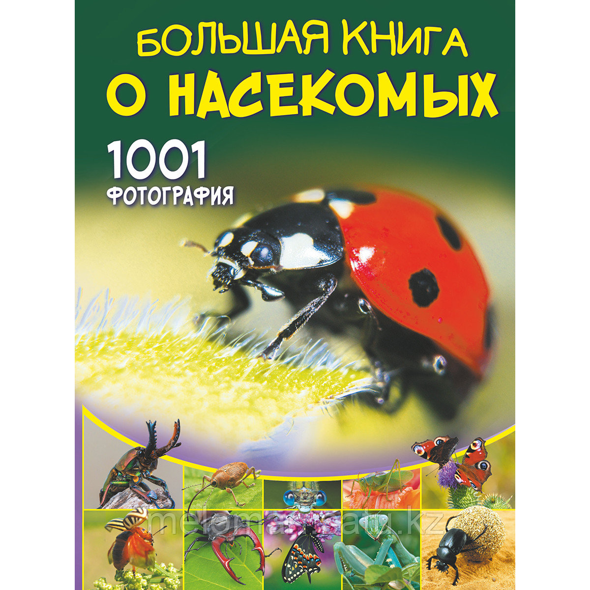 Спектор А. А.: Большая книга о насекомых. 1001 фотография - фото 1 - id-p116185668