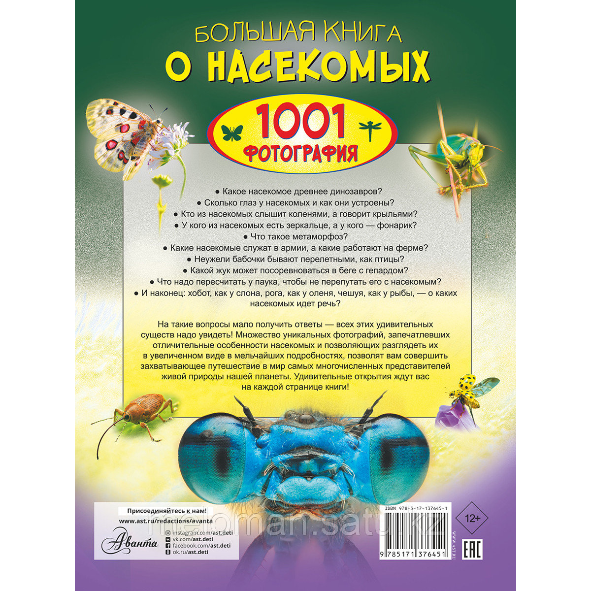 Спектор А. А.: Большая книга о насекомых. 1001 фотография - фото 2 - id-p116185668