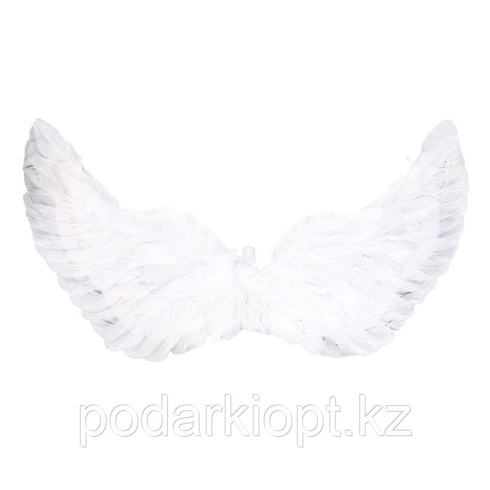 Карнавальные крылья 30 × 60, цвета МИКС - фото 1 - id-p116190604