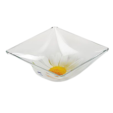 PAQUERETTE салатник 25 cм.