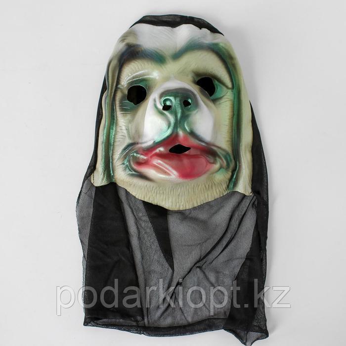 Карнавальная маска «Собака», виды МИКС - фото 1 - id-p116189106