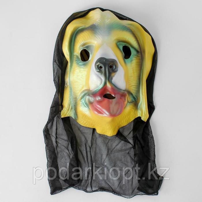 Карнавальная маска «Собака», виды МИКС - фото 2 - id-p116189106