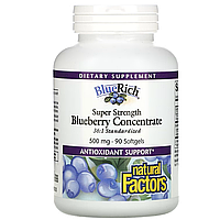 Супер эффективный концентрат черники BlueRich, 500 мг,