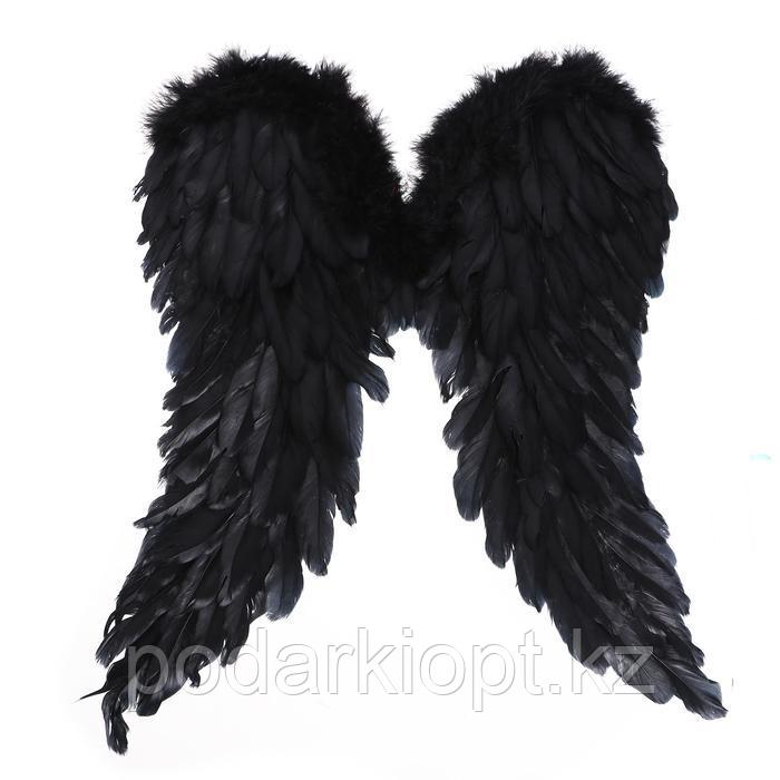 Крылья «Ангел», 50 × 40, цвет чёрный - фото 1 - id-p116189546