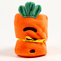 Мягкая игрушка-плед «Морковка», 20 см, цвет оранжевый