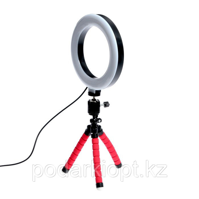 Кольцевая лампа, набор для съёмок видео - фото 8 - id-p116228182