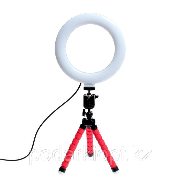 Кольцевая лампа, набор для съёмок видео - фото 7 - id-p116228284