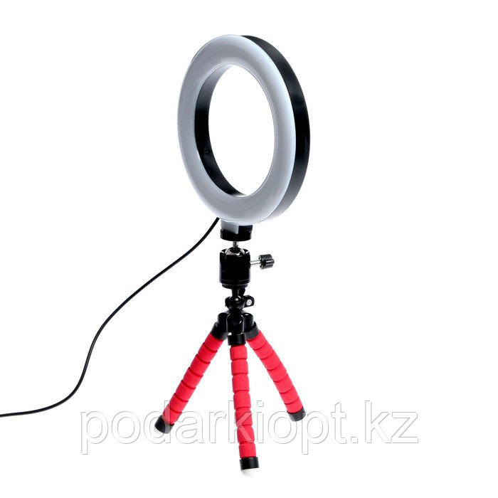 Кольцевая лампа, набор для съёмок видео - фото 8 - id-p116228284