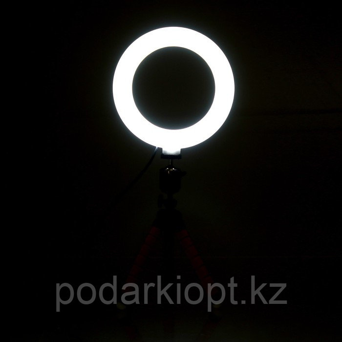Кольцевая лампа, набор для съёмок видео - фото 10 - id-p116228284