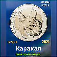 Монета "Каракал" 1 куруш 2021 г. (Турция)