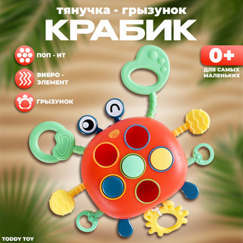 YL368 Развивающая игрушка для пальчиков Божья коровка, силикон 14*11см