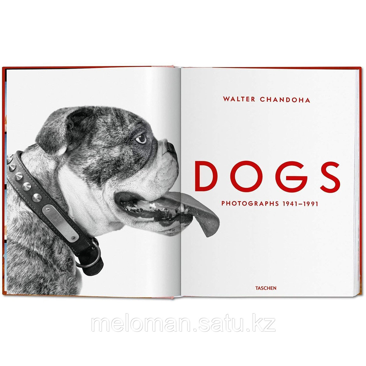 Walter Chandoha. Dogs. Photographs 1941-1991 - фото 2 - id-p116238922