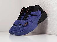 Кроссовки Nike Jordan Zion 2 41/Фиолетовый