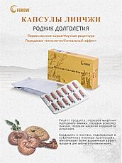 Капсулы Линчжи Фохоу атеросклероз, вегето-сосудистая дистония, инсульт, инфаркт, черепно-мозговая травма, Альцгеймера, Паркинсона, фото 6