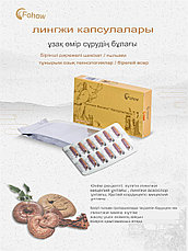 Линчжи капсулы Fohow кисты, непроходимость, эрозия, миома, воспаление, менопауза, бесплодие, фото 6