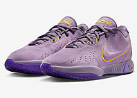 Баскетбольные кроссовки Nike LeBron 21 Violet Dust