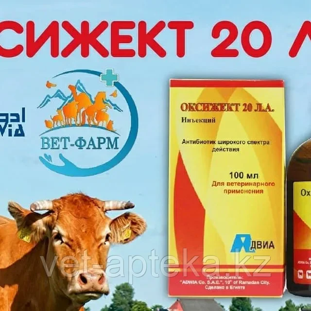 ОКСИЖЕКТ 20 L.A.