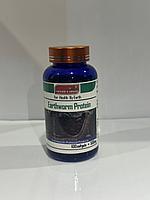 Протеин из дождевого червя  ( Eartworn Protein ) для очищения сосудов 100 таб
