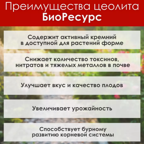 Цеолит, удобрение для клубники 1 л, фракция 3-5 мм - фото 4 - id-p116256993