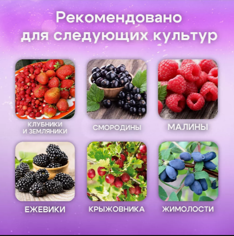 Удобрение для клубники и ягодных 3 кг - фото 4 - id-p116257042