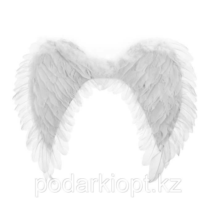 Крылья ангела, 40 × 60 см, цвет белый - фото 1 - id-p116257207