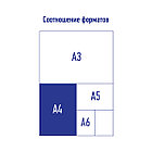 Папка-конверт на молнии Berlingo "Eco XS" А4, 180мкм, с рисунком, фото 4