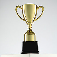 Кубок 053A, наградная фигура, золото, подставка пластик, 24 × 14.5 × 8.5 см