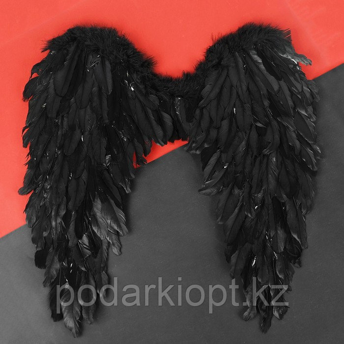 Крылья ангела, 60 × 57 см, цвет чёрный - фото 1 - id-p116261764