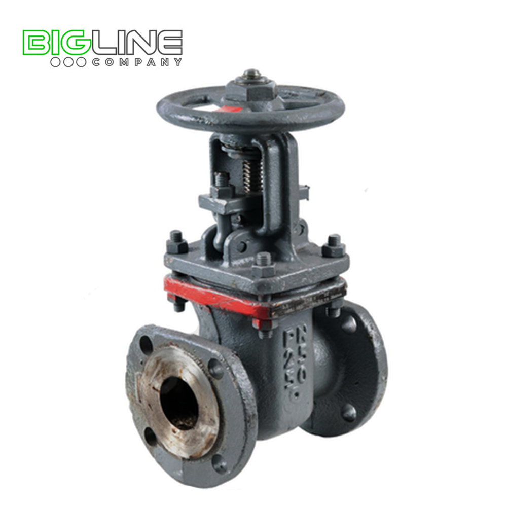 Задвижка сталь Ду50 Ру25 фл 30с64нж ЗКЛ2-25 МЗТА