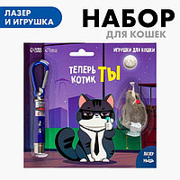 Игрушка для кошек лазер+мышь «Теперь котик ты»