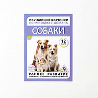 Обучающие карточки по методике Г. Домана «Собаки», 10 карт, А6