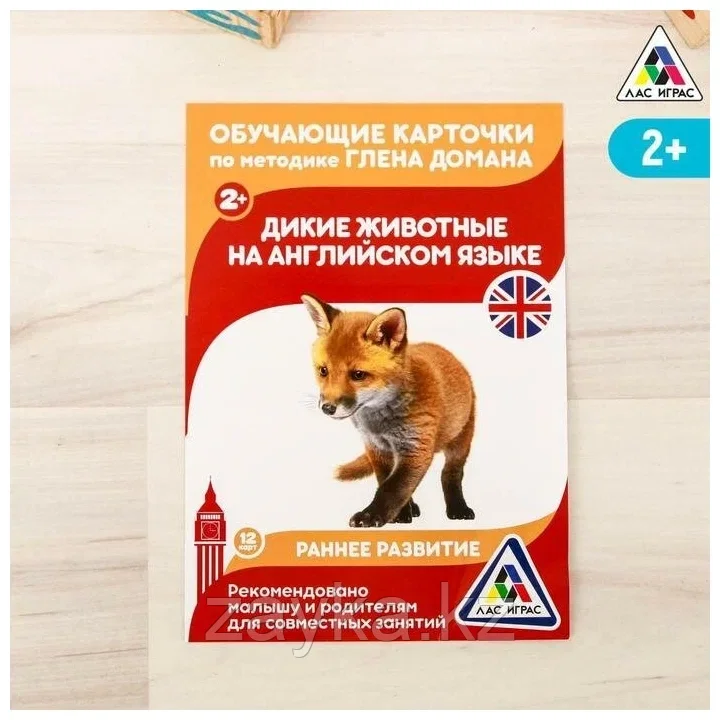 Обучающие карточки по методике Г. Домана «Дикие животные на английском языке», 12 карт, А6