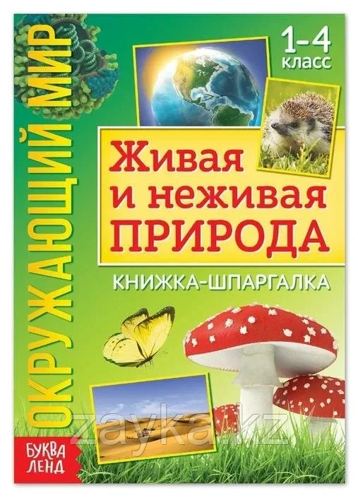 Книжка-шпаргалка «Окружающий мир. Живая и неживая природа», 12 стр.