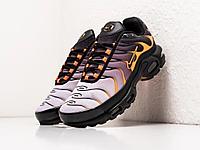 Кроссовки Nike Air Max Plus TN 43/Разноцветный